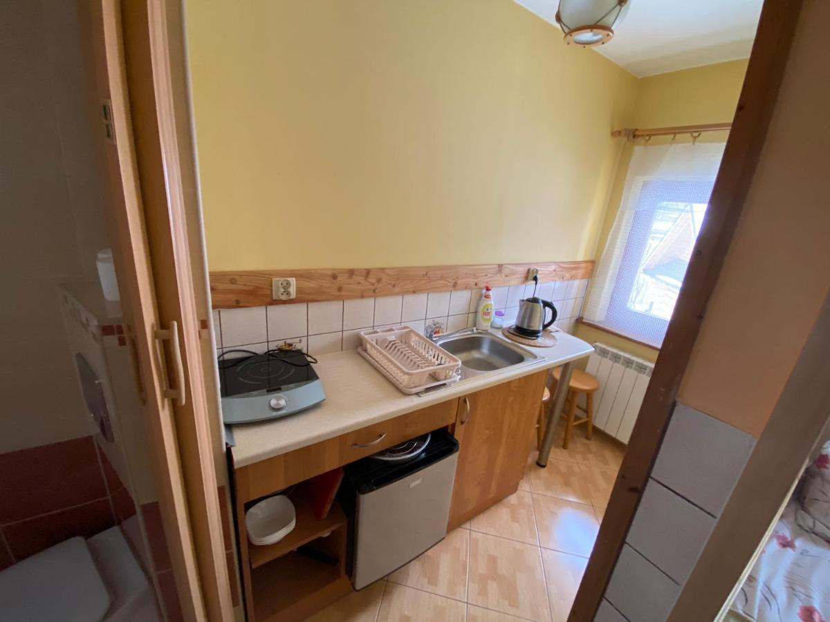 Apartamenty Pokoje Nad Potokiem Zakopane Kültér fotó